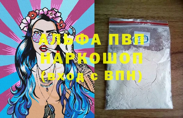 шишки Покачи