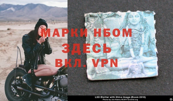 стаф Абаза