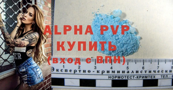 стаф Абаза
