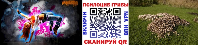 Галлюциногенные грибы GOLDEN TEACHER гидра tor Краснозаводск